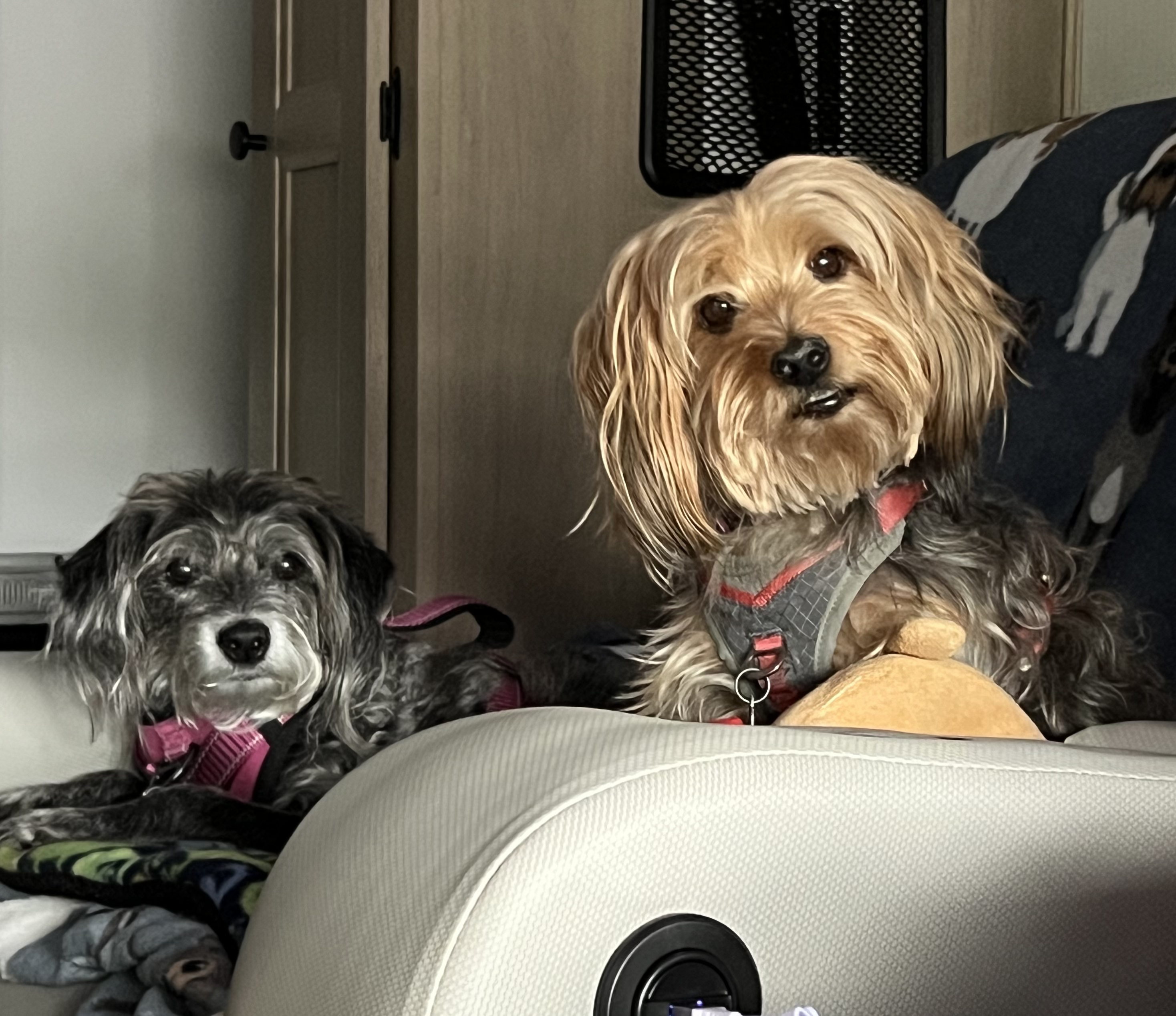 ./2025/06 - Savannah/IMG_0812.jpg